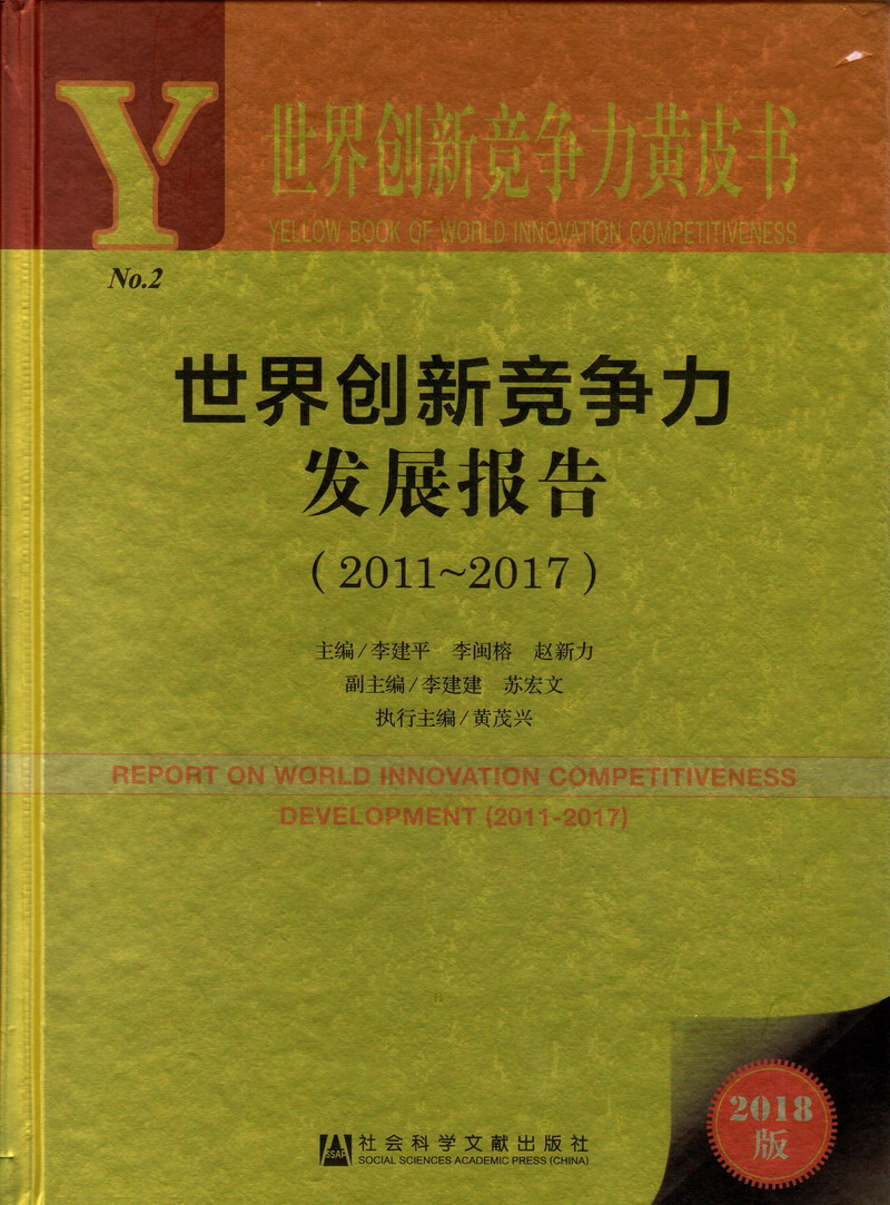 阴径插大洞视频世界创新竞争力发展报告（2011-2017）